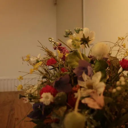 Am Alpakahof Sonnebull